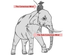 Real-Masters-are-Sleeping-elephant-rider